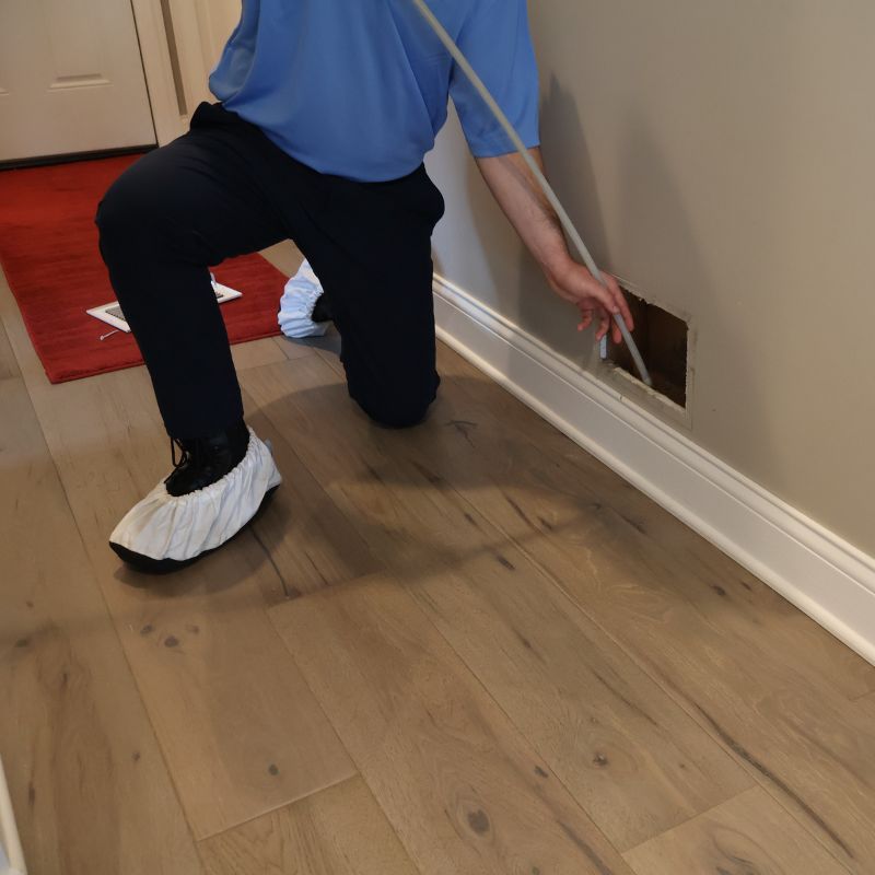 Professional Duct Cleaning Services